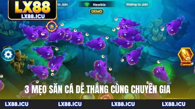 3 mẹo săn cá dễ thắng cùng chuyên gia