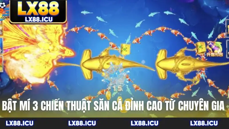 Bật mí 3 chiến thuật săn cá đỉnh cao từ chuyên gia