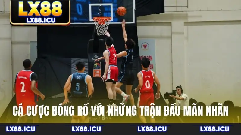 Cá cược bóng rổ tại LX88 với những trận đấu mãn nhãn