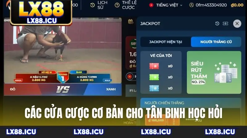 Các cửa cược cơ bản cho tân binh học hỏi