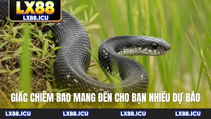 Giấc chiêm bao mang đến cho bạn nhiều dự báo