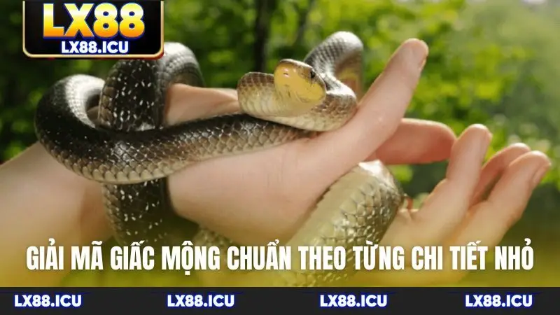Giải mã giấc mộng chuẩn theo từng chi tiết nhỏ