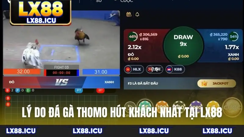 Lý do đá gà Thomo hút khách nhất tại LX88