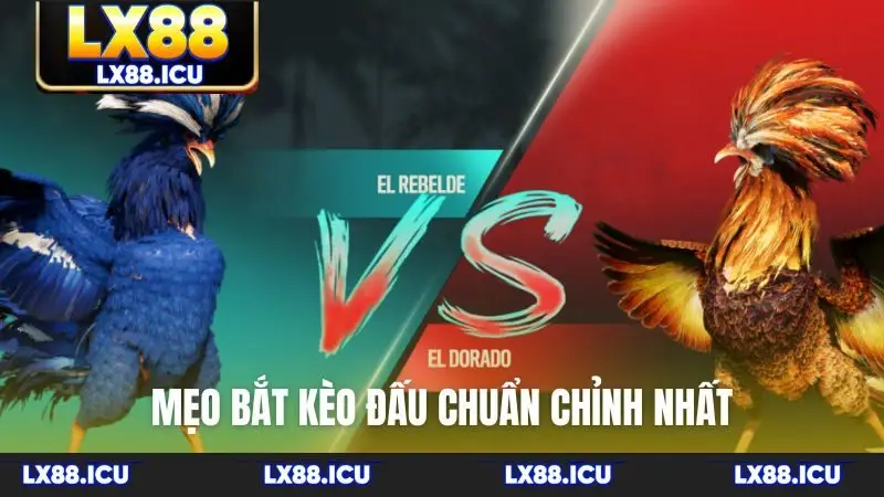 Mẹo bắt kèo đấu chuẩn chỉnh nhất