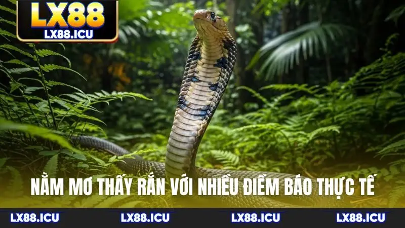 Nằm mơ thấy rắn với nhiều điềm báo thực tế